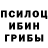 Галлюциногенные грибы Psilocybine cubensis PALADIIN