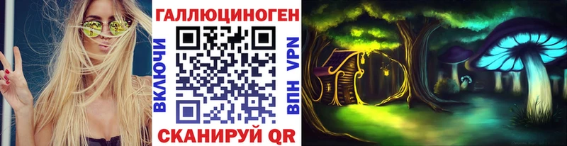 где купить наркотик  Рудня  ОМГ ОМГ вход  Псилоцибиновые грибы ЛСД 
